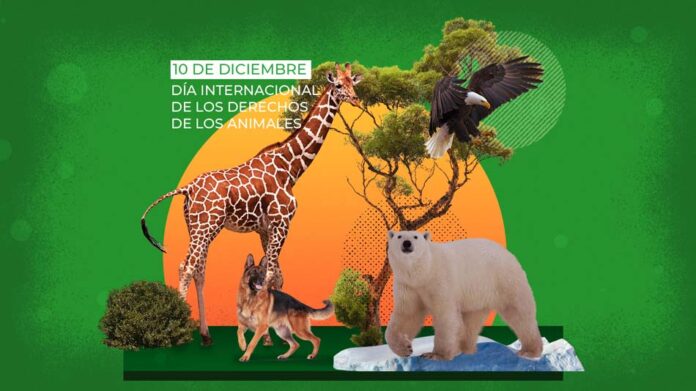 10 de diciembre: Día de los Derechos de los Animales